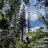 Nemocaledonie